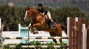 Santa Clarita Hunters Jumpers Equitation Horse Training and lessons