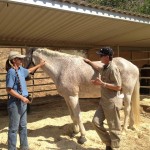 Santa Clarita Equestrian Facility